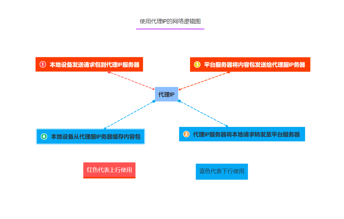 使用代理IP后网络连接图