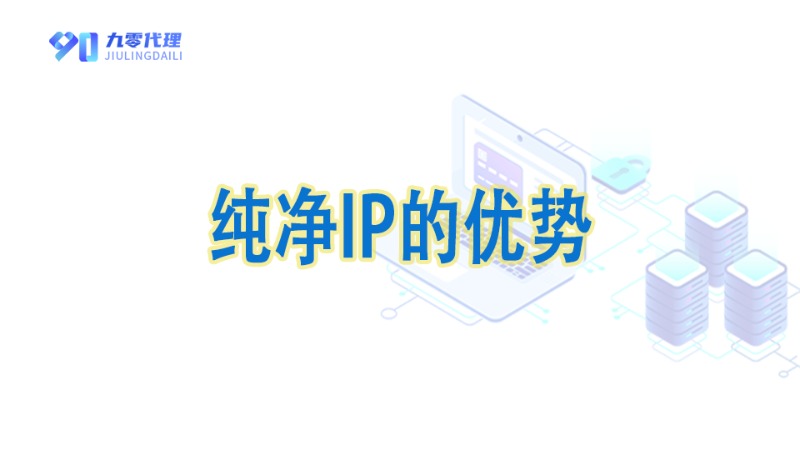纯净IP的优势以及如何获取纯净IP的方法